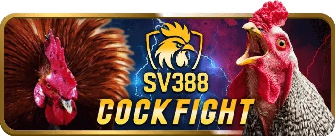 Hỗ trợ toàn diện 68gamebai apk